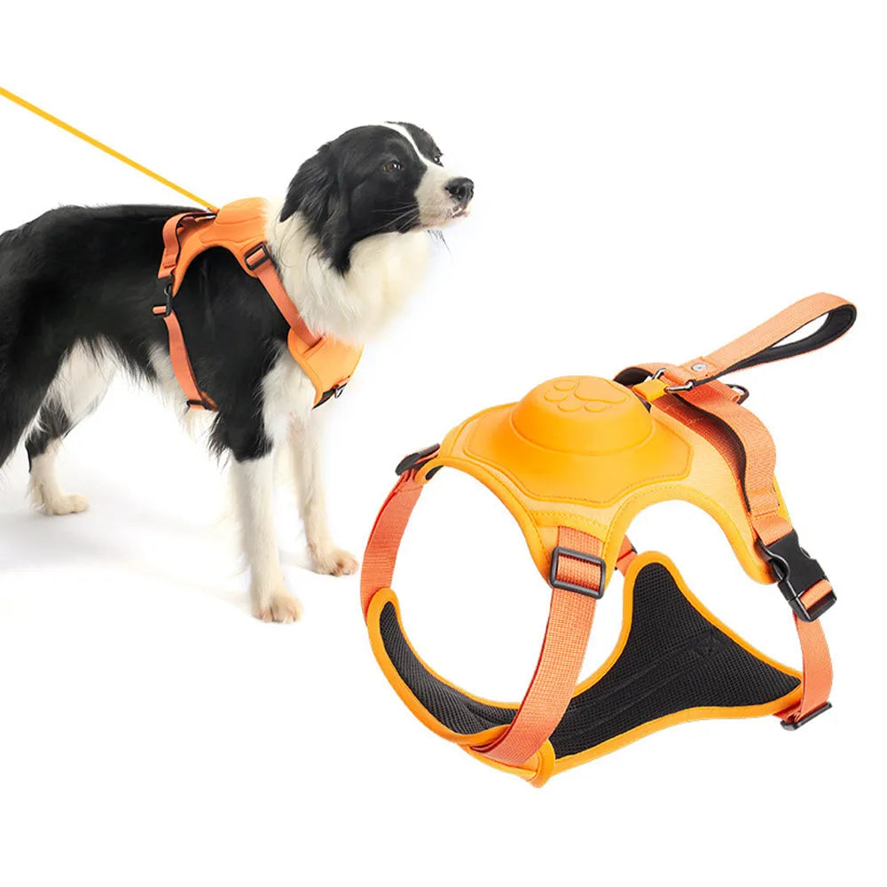 Vibe Geeks Ultimate 2 - in - 1 Reflective No - Pull Dog