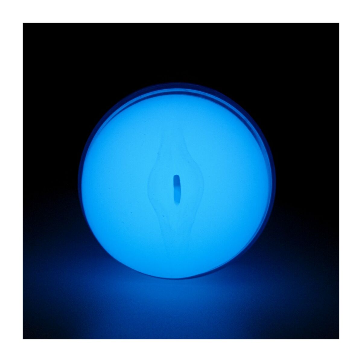 Masturbator By Kiiroo