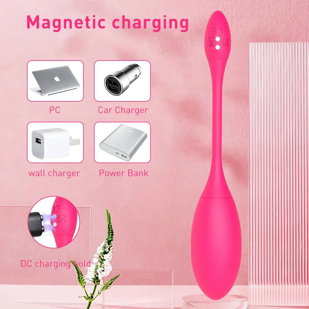 Electric Shock Kegel Ball Vibrator For Women