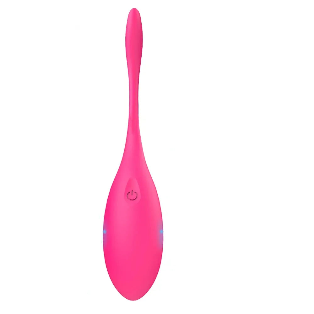 Wireless Remote Egg Vibrator For Women G Spot Stimulator &